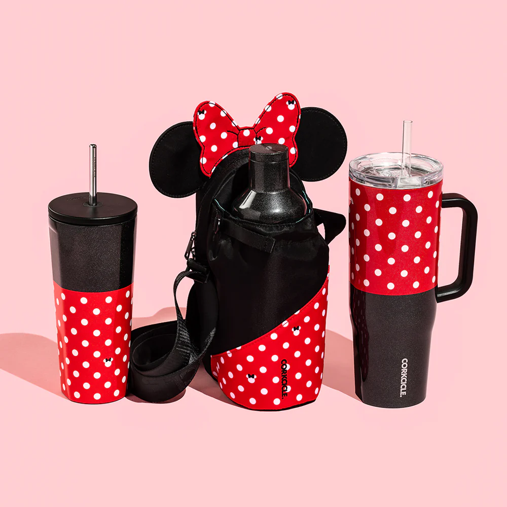 Disney Cruiser